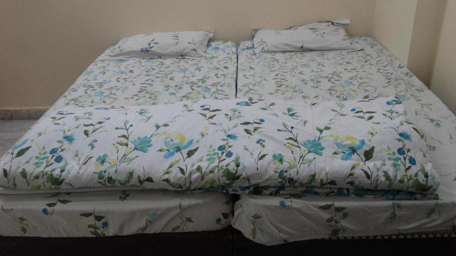 Om Trance Homestay Jaipur Extérieur photo